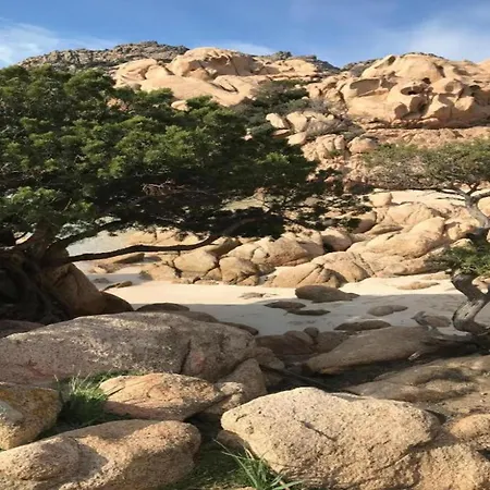 Apartment Pittulongu Villa Near Rocce Beach For 4 Olbia